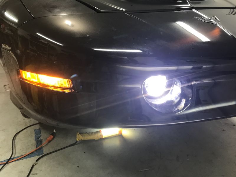 LED Fogs