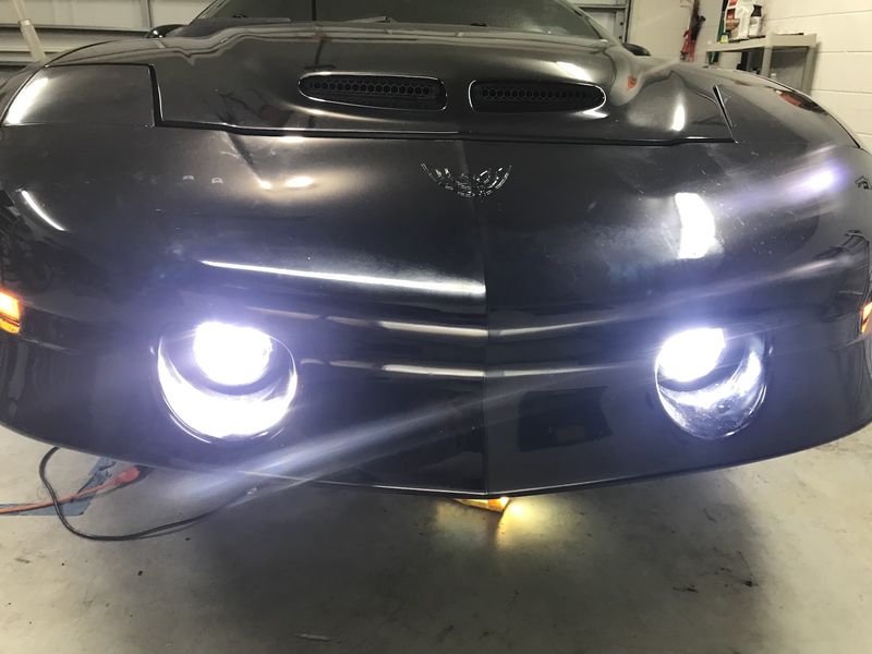 LED Fogs