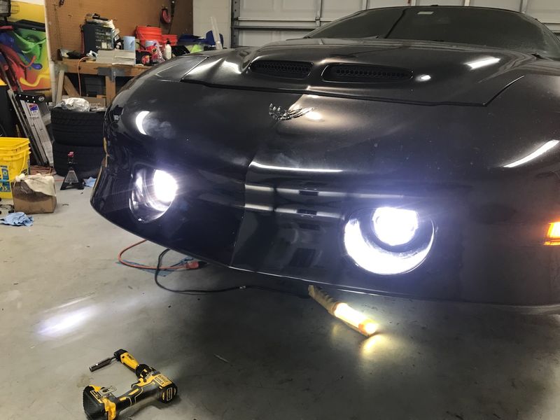 LED Fogs